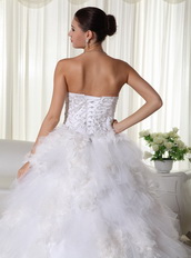 Luxurious Embroidery Feather Wedding Dress With Chapel Train Low Price