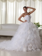 Luxurious Embroidery Feather Wedding Dress With Chapel Train Low Price