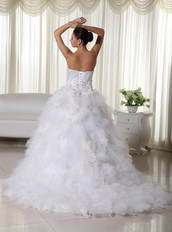 Luxurious Embroidery Feather Wedding Dress With Chapel Train Low Price