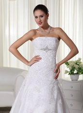 Mermaid Strapless Lovely Wedding Dress Appliques Decorate Low Price