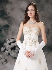 Affordable Ivory Wedding Dress With Champagne Lace Decorate Low Price