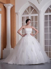 Embroidery Strapless Chapel Train Puffy Wedding Gowns Bridal Low Price