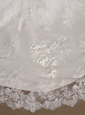 Beautiful Strapless Court Train Belt Wedding Dress With Applique Low Price