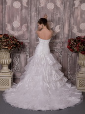 Inexpensive Mermaid Strapless Bridal Wedding Gown For Cheap Low Price