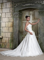 Custom Made Chapel Train Organza Strapless Wedding Gowns Designer Low Price