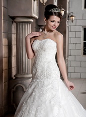 Unique Fabric Sweetheart Chapel Wedding Gowns With Appliques Low Price