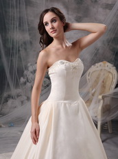 Chapel Train Champagne Winter Wedding Dress With Jacket Low Price