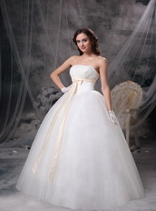 Wonderful Strapless Puffy Wedding Dress With Ribbon Decorate Low Price