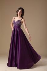 Purple Custom Made Elegant Woman Evening Celebrity Dress