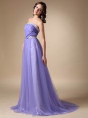 Lavender Top Designer Lists Strapless Prom Dress In Utah