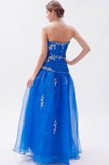 Pretty Ultramarine Organza Floor Length Prom Dress With Embriodery