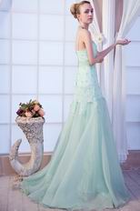 Pretty Mermaid Sweep Train Light Green Lace Prom Dress Online