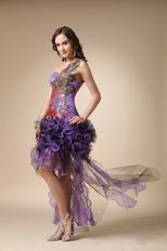 Single Shoulder Unique Prom Dress With Peacock Plume Design