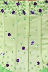 Halter Spring Green Prom Dress Design With Purple Crystals
