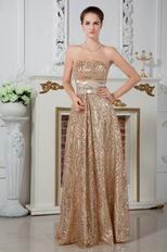 Flaring Strapless Sequin Belt Golden Formal Party Prom Dress