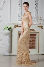 Sexy V Neck Dark Champagne Lace Prom Party Dress With Cap Sleeves