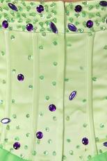 Halter Spring Green Organza Prom Dress With Purple Crystals