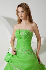 Lemon Green Quality La Quinceanera Dresses By Designer