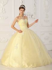 Daffodil Sweetheart 2014 Top Designer Quinceanera Dress