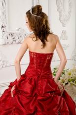 Wine Red Puffy Dress Girls Quinceanera Party Best Choice