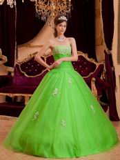 Spring Green Tulle Floor Length Quinceanera Dress By Designer