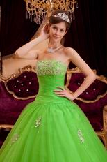 Spring Green Tulle Floor Length Quinceanera Dress By Designer