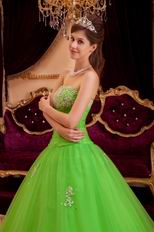 Spring Green Tulle Floor Length Quinceanera Dress By Designer