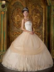 Appliqued Dentate Bottom Quinceanera Dress With Handmade Flower