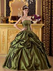 Olive Green Strapless 2014 Prom Quinceanera Dress For Sale