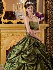 Olive Green Strapless 2014 Prom Quinceanera Dress For Sale