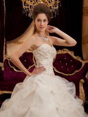 Appliqued Puffy Ball Dress Ivory Quinceanera Gown With Embroidery