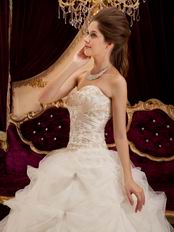 Appliqued Puffy Ball Dress Ivory Quinceanera Gown With Embroidery