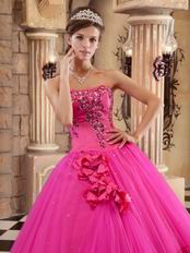 Trimed A-line Skirt Fuchsia Quinceanera Dress For 2014 Wear