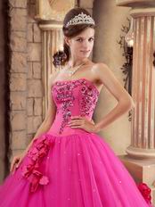 Trimed A-line Skirt Fuchsia Quinceanera Dress For 2014 Wear