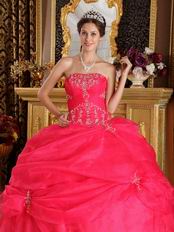 Strapless Ball Gown Embroidery Deep Pink Quinceanera Gown