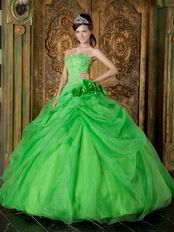 Side Handmade Flowers Decorate Spring Green Quinceanera Dress