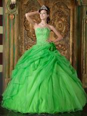 Side Handmade Flowers Decorate Spring Green Quinceanera Dress