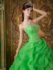 Side Handmade Flowers Decorate Spring Green Quinceanera Dress