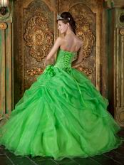 Side Handmade Flowers Decorate Spring Green Quinceanera Dress