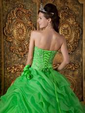 Side Handmade Flowers Decorate Spring Green Quinceanera Dress