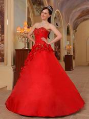 Stylish Side Handmade Flowers Trimed Quinceanera Dress