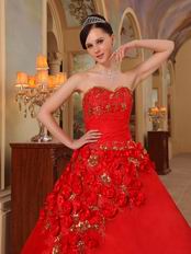 Stylish Side Handmade Flowers Trimed Quinceanera Dress