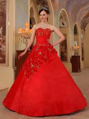 Stylish Side Handmade Flowers Trimed Quinceanera Dress