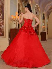 Stylish Side Handmade Flowers Trimed Quinceanera Dress