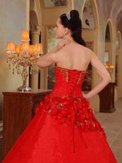 Stylish Side Handmade Flowers Trimed Quinceanera Dress