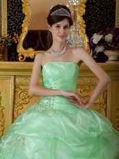 Lovely Style Quinceanera Theme Dress In Apple Green