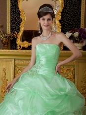 Lovely Style Quinceanera Theme Dress In Apple Green