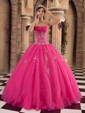 Sleeveless Embroidery Hot Pink Winter Quinceanera Gown