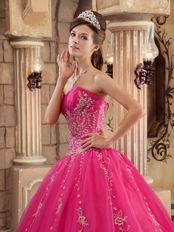 Sleeveless Embroidery Hot Pink Winter Quinceanera Gown