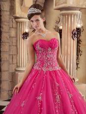 Sleeveless Embroidery Hot Pink Winter Quinceanera Gown